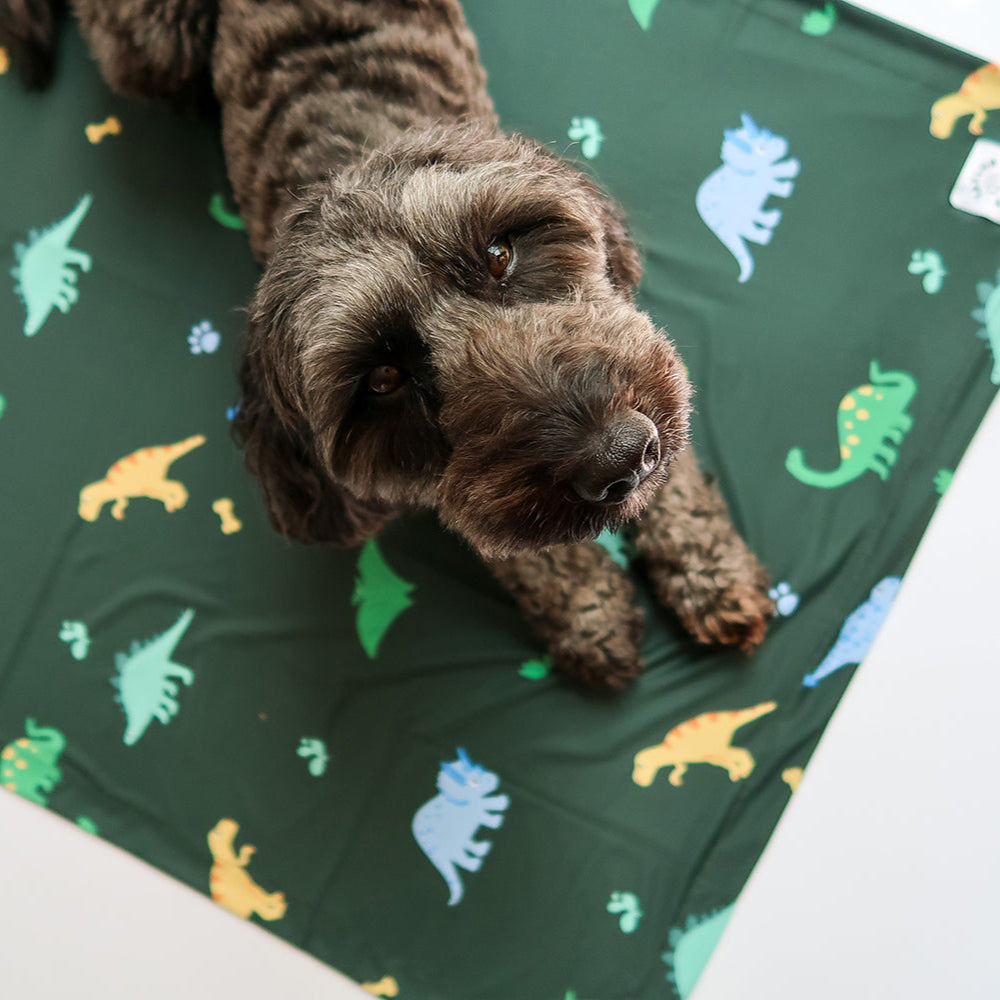 Cooling Mats