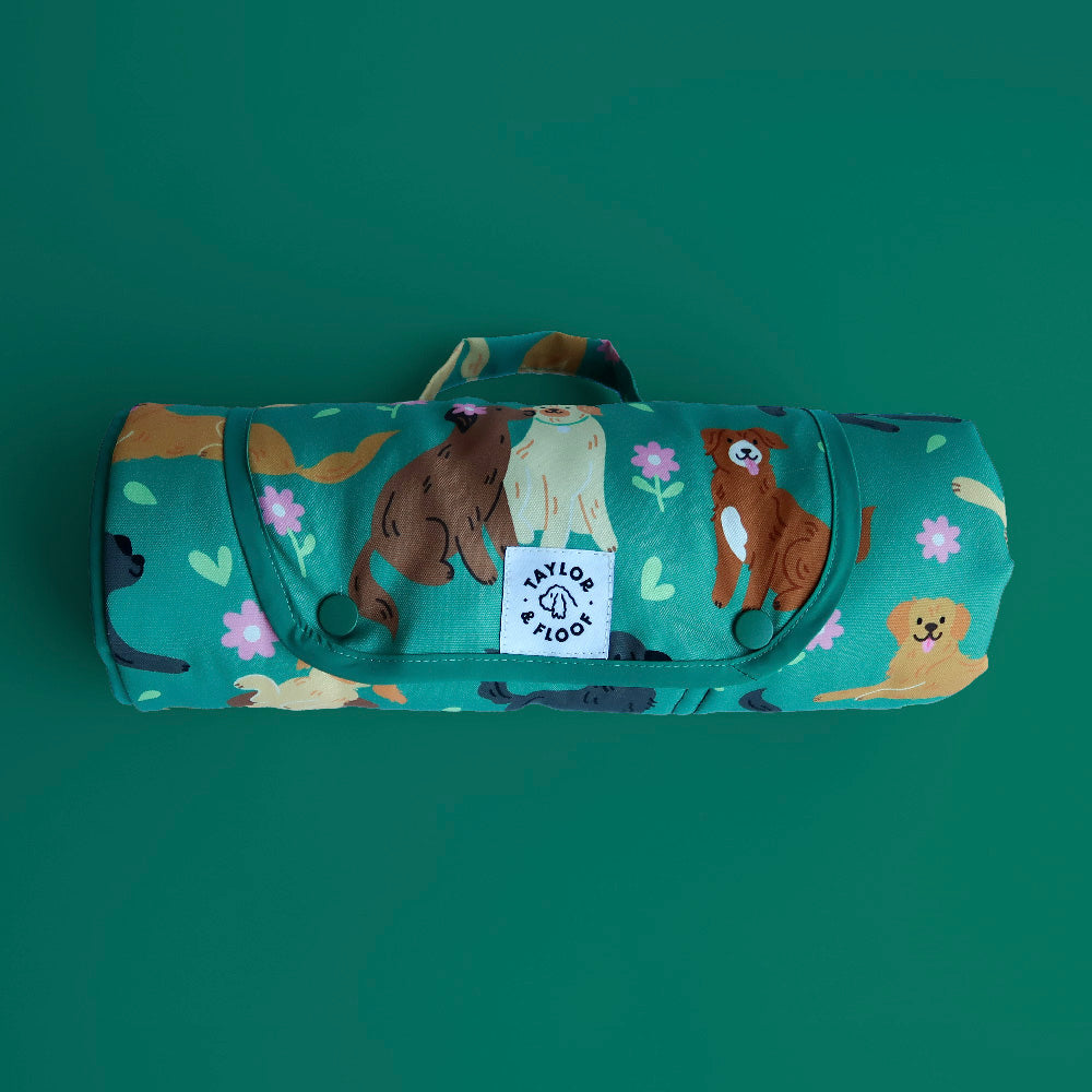 Roll-up settle mat with Retriever pattern on a green background.