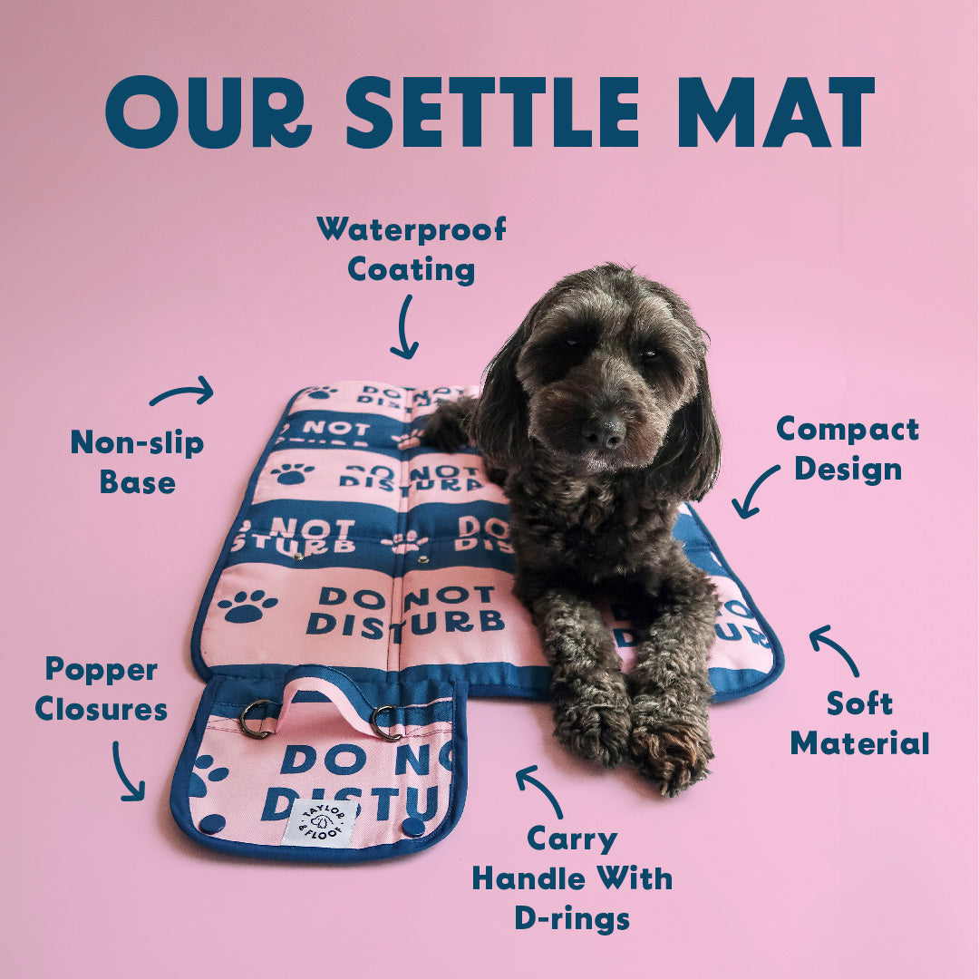 Do Not Disturb 2.0 Settle Mat