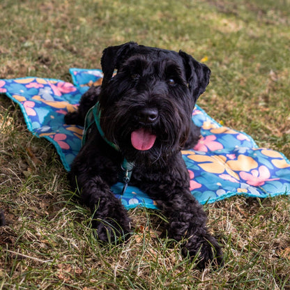 Image of a dog laying on the settle mat: Small black dog laying on a a bright floral dog mat. These are called settle mats they are a great training tool for teaching your dog to be calm.