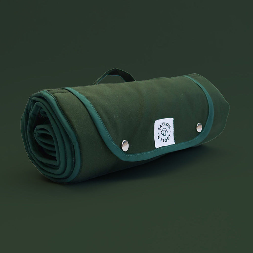 Minimalist green dog settle mat providing a cozy and portable resting space for your pup.
