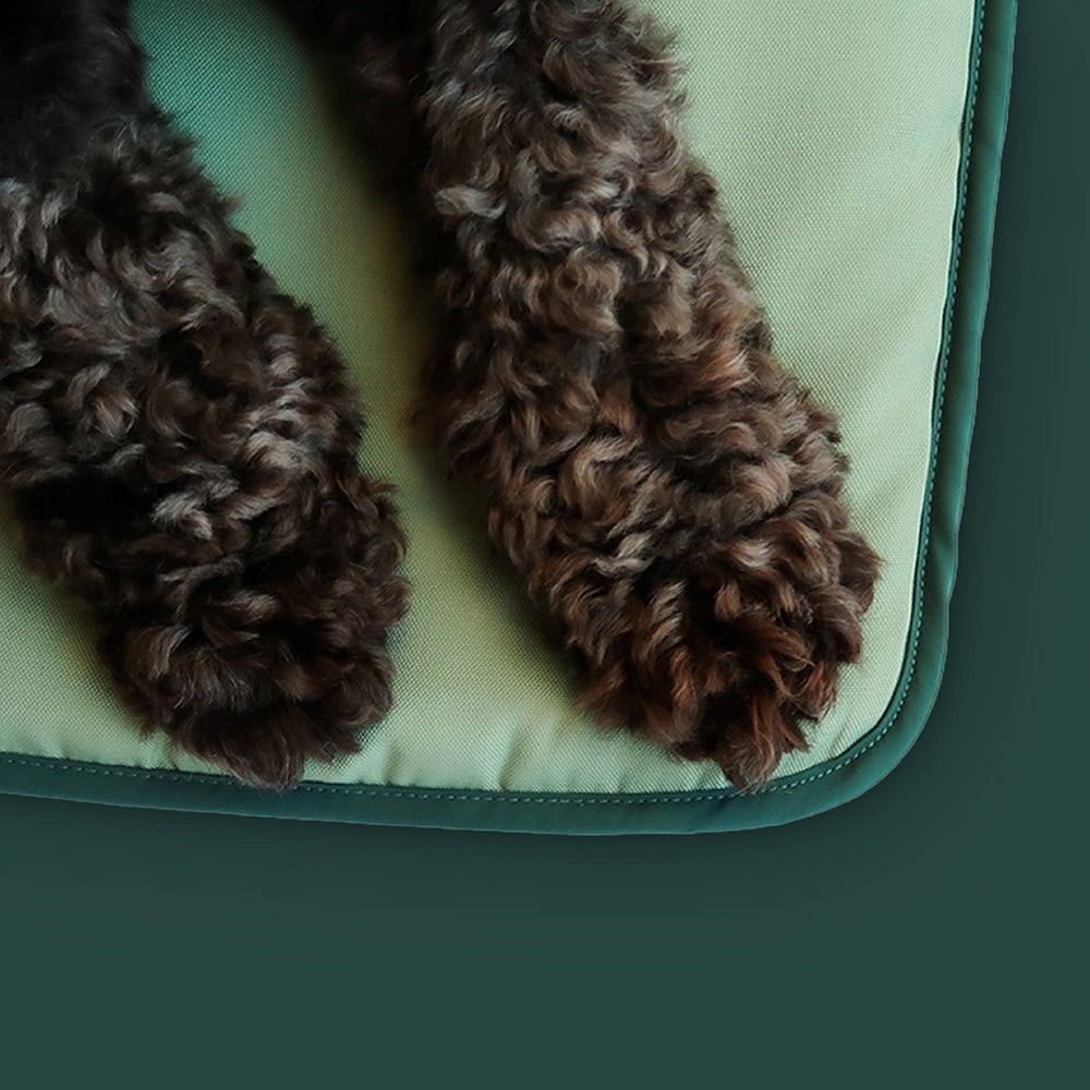 A relaxed dog lying comfortably on a sage green settle mat, blending seamlessly into a cozy home setting.