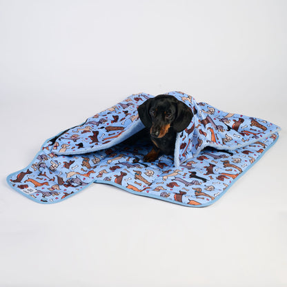 Dachshund relaxing on a settle mat environment showing calm behaviour