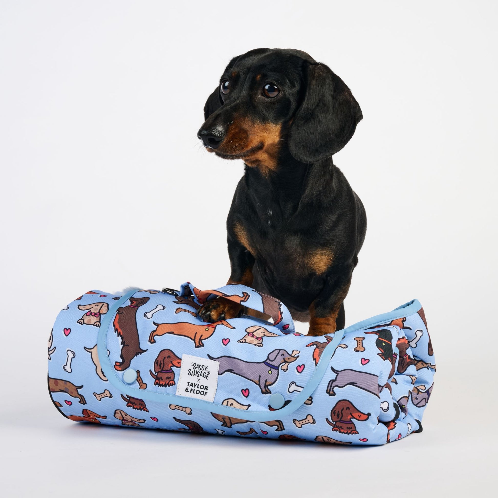 Close up of the taylor and floof Pitta Pocket sausage dog mat with a black and tan sausage dog next to the mat.