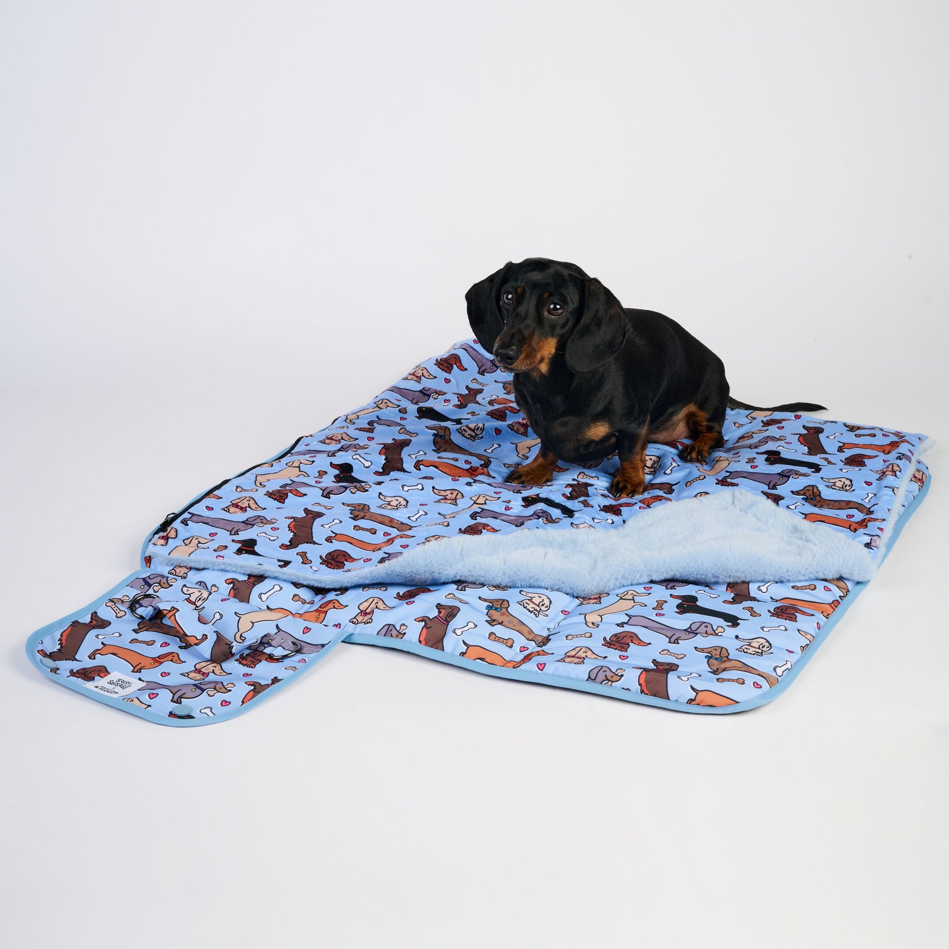 Dachshund lying on settle mat showing size and fit for small dogs
